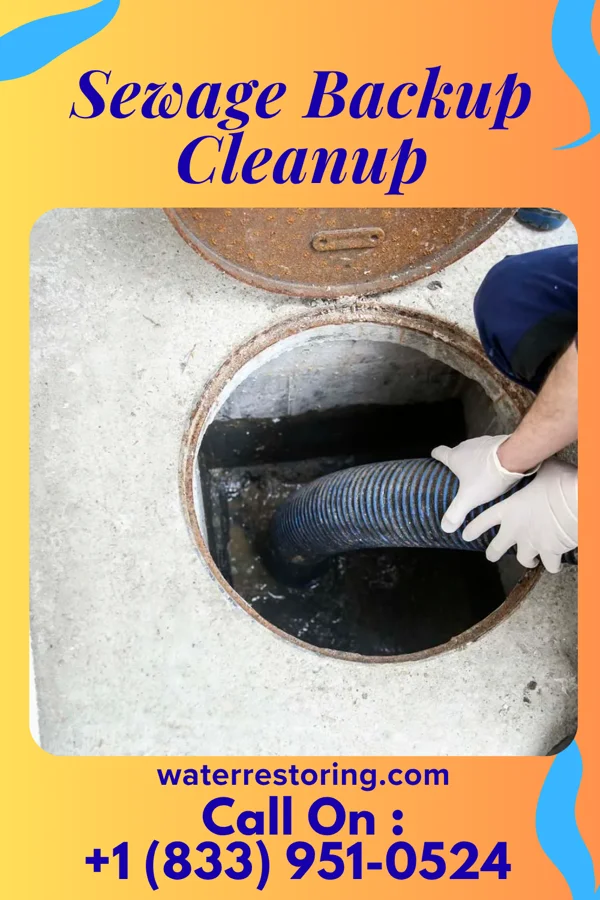 Sewage Backup Cleanup in Odessa, DE