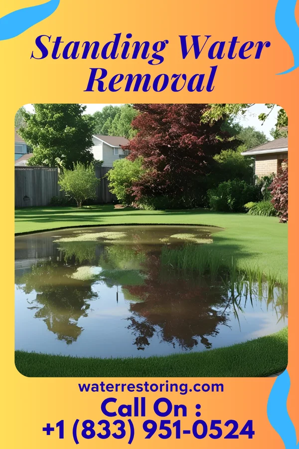 Standing Water Removal in Odessa, DE